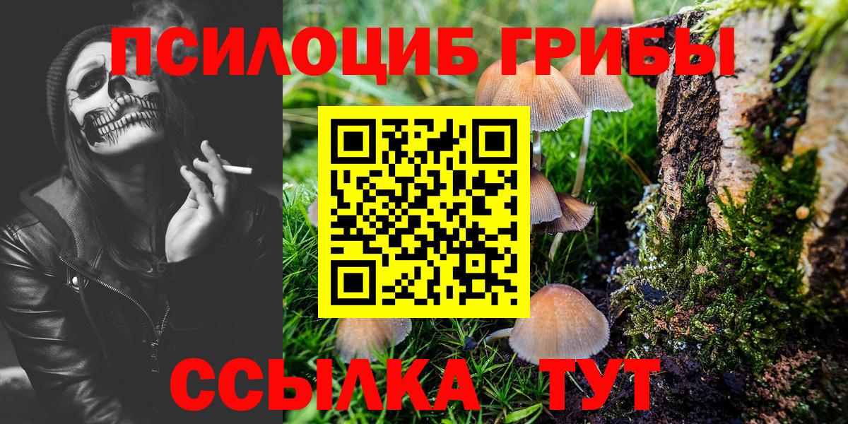 Бердск  Псилоцибиновые грибы MAGIC MUSHROOMS  Вход с VPN 